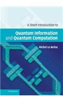 Short Introduction to Quantum Information and Quantum Computation