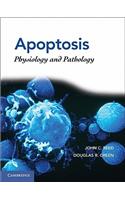 Apoptosis: Physiology and Pathology