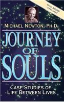 Journey of Souls: Case Studies of Life Between Lives: Case Studies of Life Between Lives