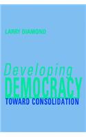 Developing Democracy