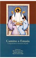 Camino A Emaus: Compartiendo el Ministerio de Jesus