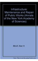 Infrastructure: Maintenance and Repair of Public Works (Annals of the New York Academy of Sciences)