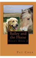 Bailey and the Horse