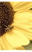 Abeilles Tournesol Carnet de notes: Journal ligné de 119 pages- Une belle idée de cadeau pour vos amis