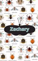 Zachary: Bug Insect Isometric Dot Paper Book Notebook Journal Book 120 Pages 6x9