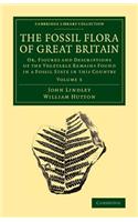 Fossil Flora of Great Britain