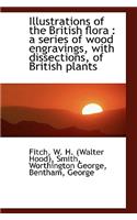Illustrations of the British Flora