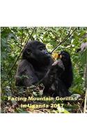 Facing Mountain Gorillas in Uganda 2017