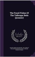 Fossil Fishes Of The Talbragar Beds (jurassic)