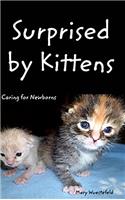 Surprised by Kittens