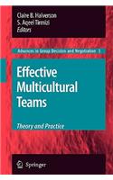 Effective Multicultural Teams: Theory and Practice