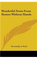 Wonderful Nests From Homes Without Hands: (English)