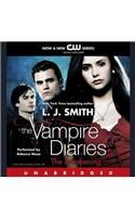 The Vampire Diaries: The Awakening