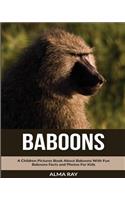 Baboons