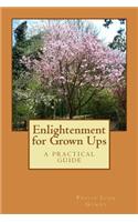 Enlightenment for Grown Ups: A Practical Guide