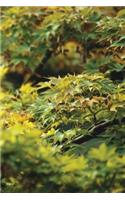 Eastern Maple Tree Notebook: 150 Page Notebook Journal Diary