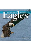 Exploring the World of Eagles