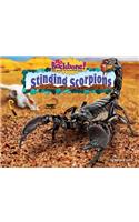 Stinging Scorpions