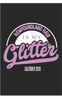 Newfoundland Dog Calender 2020: Funny Cool Newfoundland Calender 2020 - Monthly & Weekly Planner - 6x9 - 128 Pages. Cute Gift For All Dog Moms, Mothers, New Pet Owners, Enthusiasts
