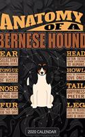 Anatomy Of A Bernese Hound: Bernese Hound 2020 Calendar - Customized Gift For Bernese Hound Dog Owner