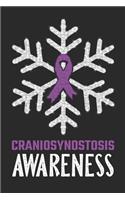 Craniosynostosis Awareness: Christmas snowfall College Ruled Craniosynostosis Awareness Journal, Diary, Notebook 6 x 9 inches with 100 Pages