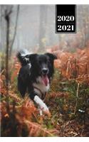 Border Collie Dog Calendar Week Planner 2020 / 2021 - Walk in the Forest: Pup Puppy Doggie Pet Owner Weekly Bullet Journal Notebook Diary in 6" x 9" Inch Pocket Size
