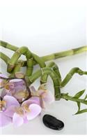 Orchids Notebook