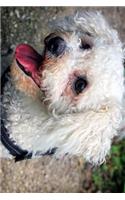 The Loving Eyes of a Bichon Frise Dog Journal: Take Notes, Write Down Memories in this 150 Page Lined Journa