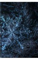 Snowflake Notebook