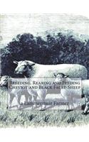 Breeding, Rearing and Feeding Cheviot and Black Faced Sheep