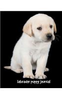 Labrador Puppy Journal: 8 x 10 inch dog notebook, labrador notebook, college ruled composition book, 150 pages