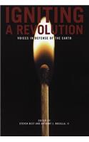 Igniting a Revolution