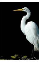 Great Egret Notebook