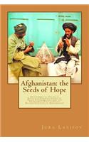 Afghanistan: the Seeds of Hope: Adjustment of Political Situation, Strengthening of State Fundamentals and the Problems of Post-conflict Reconstruction of Afghan