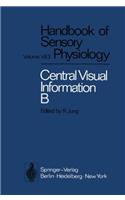 Visual Centers in the Brain