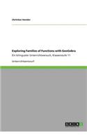 Exploring Families of Functions with GeoGebra: Ein bilingualer Unterrichtsversuch, Klassenstufe 11