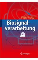 Biosignalverarbeitung