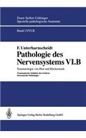 Pathologie Des Nervensystems VI.B