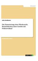 Finanzierung einer Pferdezucht. Betriebskosten eines Gestüts mit Fohlenverkauf