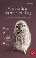 Vom Schlupfen bis zum ersten Flug: Die faszinierende Entwicklung der Greifvogel und Eulen