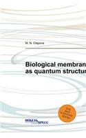 Biological Membrane as Quantum Structure