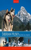 Siberian Husky