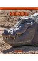 Krokodil! Ein pädagogisches Kinderbuch über Krokodil mit lustigen Fakten