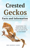 Crested Geckos