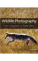 Wildlife Photography