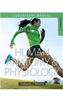 Human Anatomy & Physiology Laboratory Manual