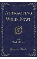 Attracting Wild Fowl (Classic Reprint)