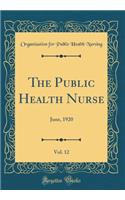 The Public Health Nurse, Vol. 12: June, 1920 (Classic Reprint)