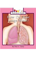 How Do Your Lungs Work?