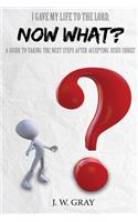 I Gave My Life to the Lord, Now What? - A Guide to Taking the Next Steps After Accepting Jesus Christ